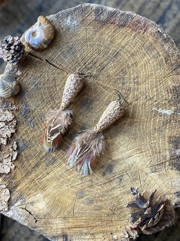 ∻ KOLCZYKI Z MŁODYCH SZYSZEK Z JASNYMI PIÓRAMI ∻