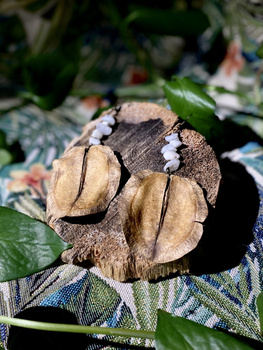 NATURALNE KOLCZYKI Z OWOCNI JACARANDY ∻ KAMIEŃ KSIĘŻYCOWY ∻