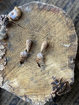 ∻ KOLCZYKI Z MŁODYCH SZYSZEK Z JASNYMI PIÓRAMI ➁ ∻